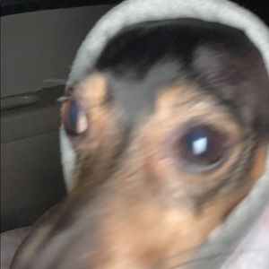 Meet your Posher, Alexandra